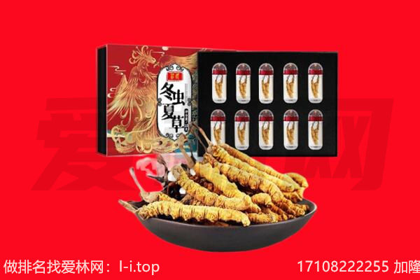 大同灵丘县回收虫草.jpg